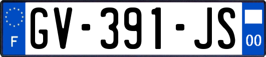 GV-391-JS