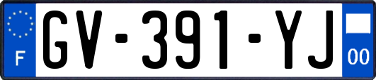 GV-391-YJ