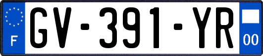 GV-391-YR