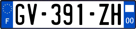 GV-391-ZH