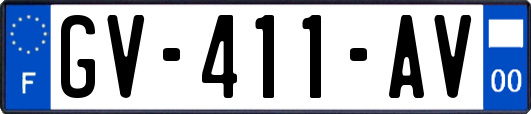 GV-411-AV
