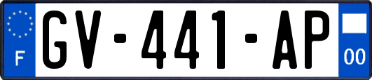 GV-441-AP