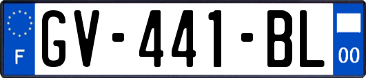 GV-441-BL