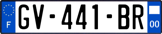 GV-441-BR