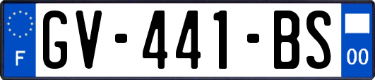 GV-441-BS