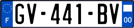 GV-441-BV
