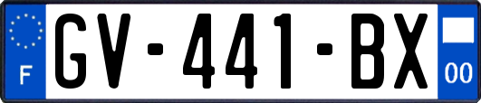 GV-441-BX