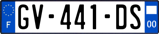 GV-441-DS