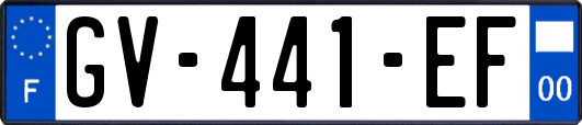 GV-441-EF