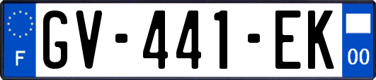 GV-441-EK