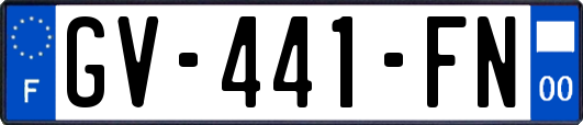 GV-441-FN