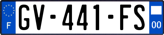 GV-441-FS