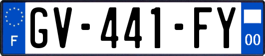GV-441-FY