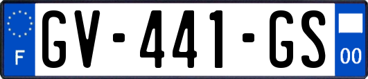 GV-441-GS