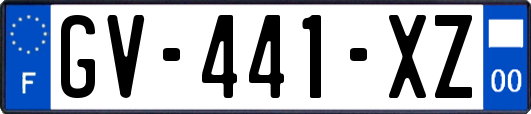 GV-441-XZ