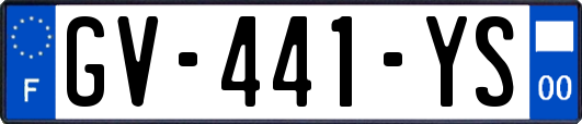GV-441-YS