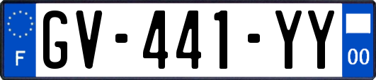 GV-441-YY