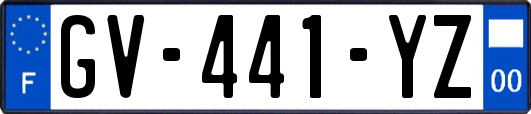 GV-441-YZ
