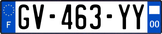 GV-463-YY
