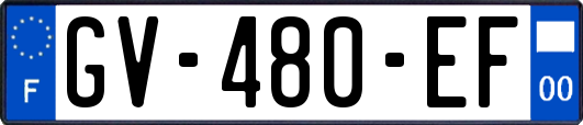 GV-480-EF