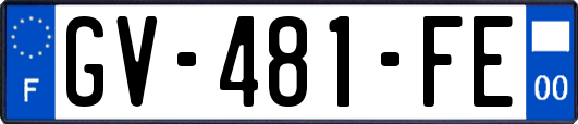 GV-481-FE