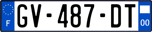 GV-487-DT