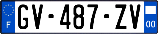 GV-487-ZV