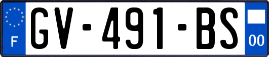GV-491-BS