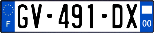 GV-491-DX