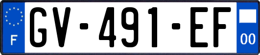 GV-491-EF