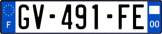 GV-491-FE