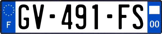 GV-491-FS