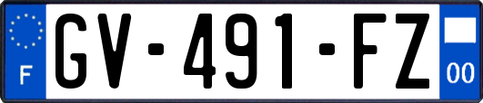 GV-491-FZ