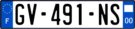 GV-491-NS