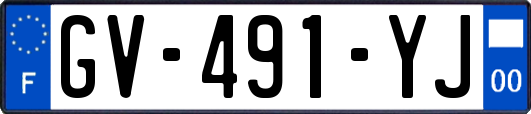 GV-491-YJ