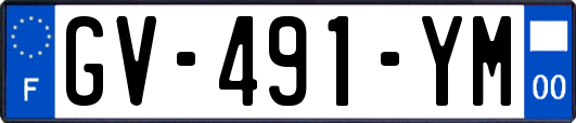 GV-491-YM