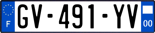 GV-491-YV