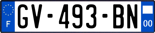 GV-493-BN