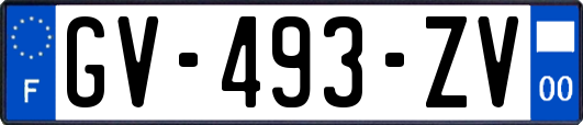 GV-493-ZV