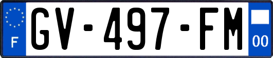 GV-497-FM