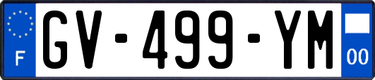 GV-499-YM