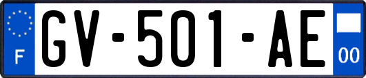 GV-501-AE