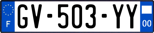 GV-503-YY