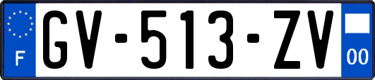 GV-513-ZV