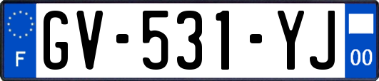 GV-531-YJ