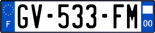 GV-533-FM