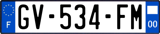 GV-534-FM