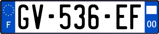 GV-536-EF