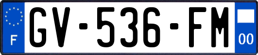 GV-536-FM