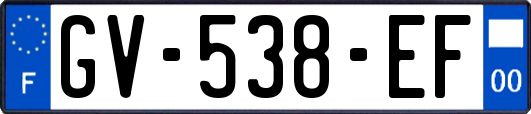 GV-538-EF